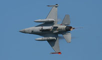 100 anniversario belgian air force image 25