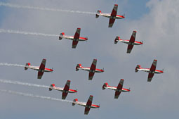 100 anniversario belgian air force image 3