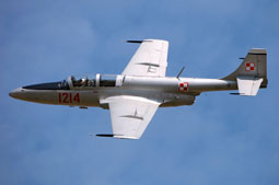 100 anniversario polish air force image 16