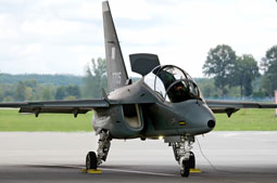 100 anniversario polish air force image 26