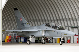 100 anniversario polish air force image 29