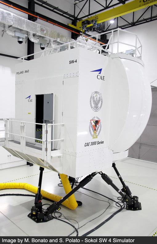 100 anniversario polish air force image 31