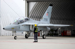 100 anniversario polish air force image 38