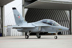 100 anniversario polish air force image 39