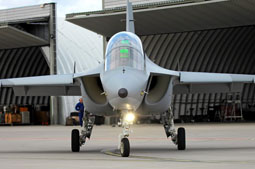 100 anniversario polish air force image 40