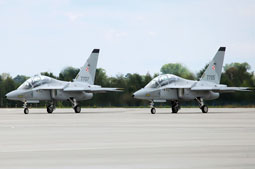 100 anniversario polish air force image 41