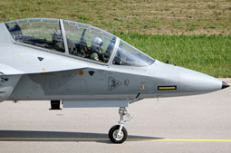 100 anniversario polish air force image 47