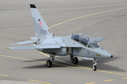 100 anniversario polish air force image 54