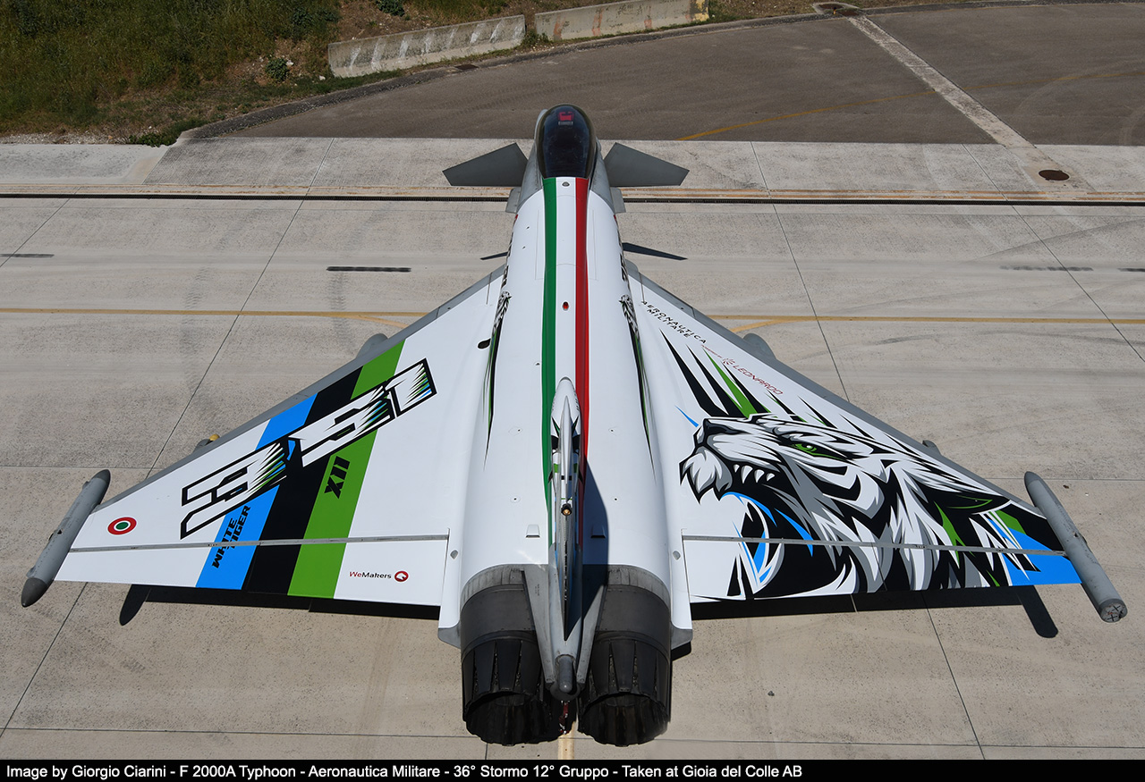 351a squadriglia tigri bianche image 131