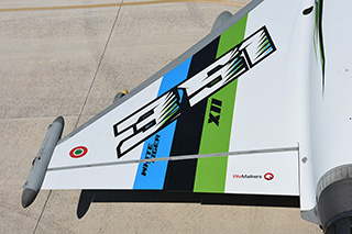 351a squadriglia tigri bianche image 146