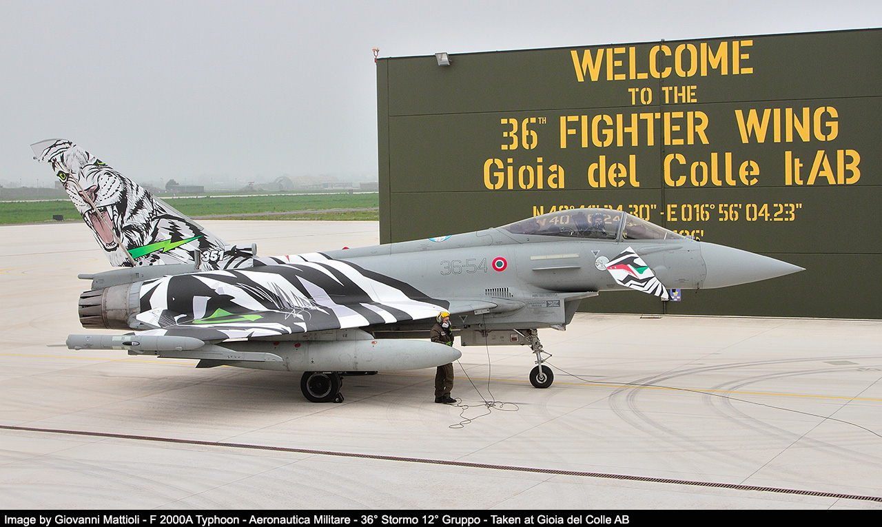 351a squadriglia tigri bianche image 21