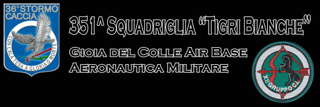 351a squadriglia tigri bianche image 1