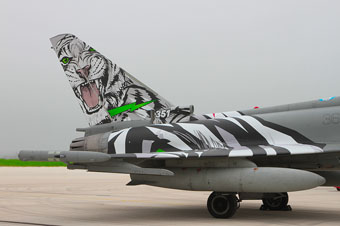 351a squadriglia tigri bianche image 24