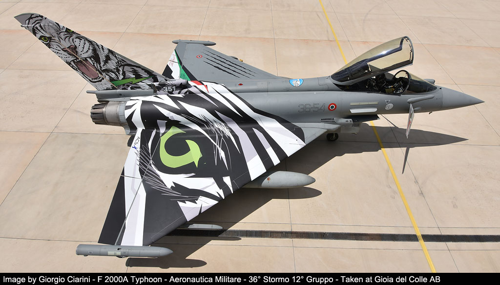 351a squadriglia tigri bianche image 42