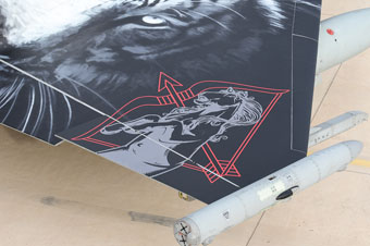 351a squadriglia tigri bianche image 59