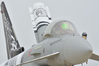 351a squadriglia tigri bianche image 60