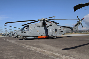 50 anniversario 2 gruppo elicotteri image 16