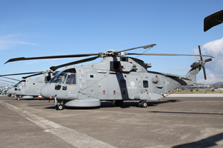 50 anniversario 2 gruppo elicotteri image 17