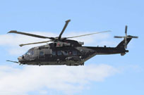 55 anniversario frecce tricolori image 38