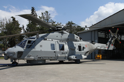 5 gruppo elicotteri image 6