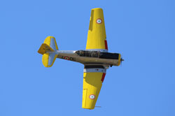 60 anniversario pan image 37