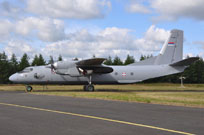 air show karup 2014 image 4