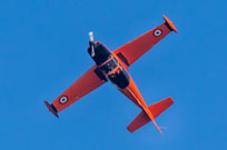 valore tricolore 2019 image 144