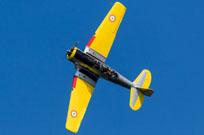 valore tricolore 2019 image 147