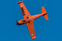 valore tricolore 2019 image 148