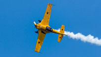 valore tricolore 2019 image 156