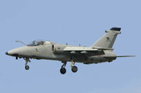 air show radom 2011 image 2