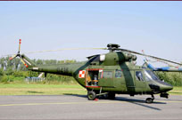 air show radom 2011 image 24