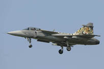 air show radom 2011 image 25