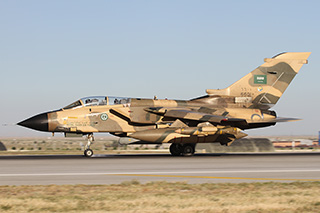 Air Show Riyadh 2026 image 127