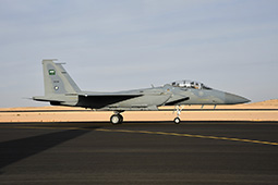 Air Show Riyadh 2026 image 28