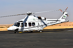 Air Show Riyadh 2026 image 30