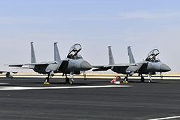 Air Show Riyadh 2026 image 37