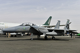 Air Show Riyadh 2026 image 39