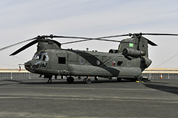 Air Show Riyadh 2026 image 40