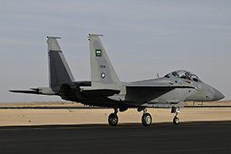 Air Show Riyadh 2026 image 44