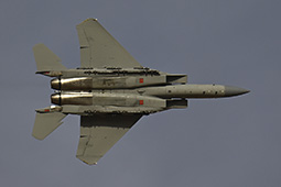 Air Show Riyadh 2026 image 56