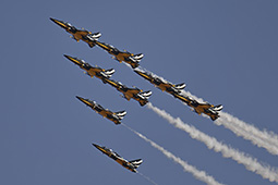 Air Show Riyadh 2026 image 96