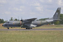 air show saint dizier 2011 image 4
