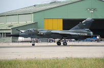 air show saint dizier 2011 image 6