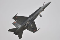 air show saint dizier 2011 image 9