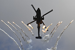 Singapore Air Show 2026 image 12