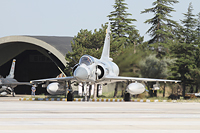 anatolian eagle 2012 image 1