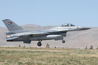 anatolian eagle 2012 image 12
