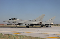 anatolian eagle 2012 image 16