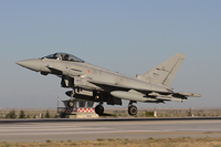 anatolian eagle 2012 image 19